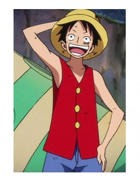 Monkey D. Luffy Anime Red Vest